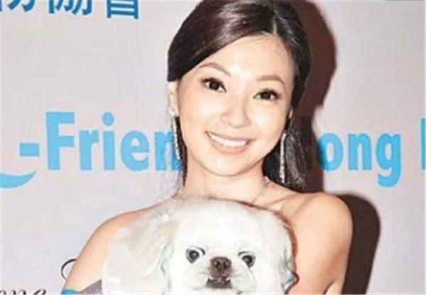 “最美郭芙”傅明宪生性放浪，豪门梦两度破碎，成娱乐圈中的笑柄