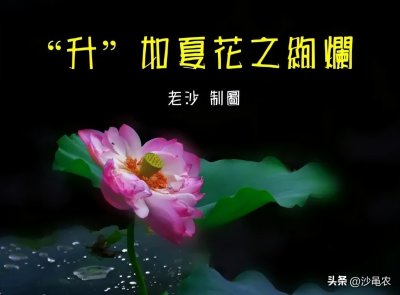 ​股市早8点丨今天有五条大消息！