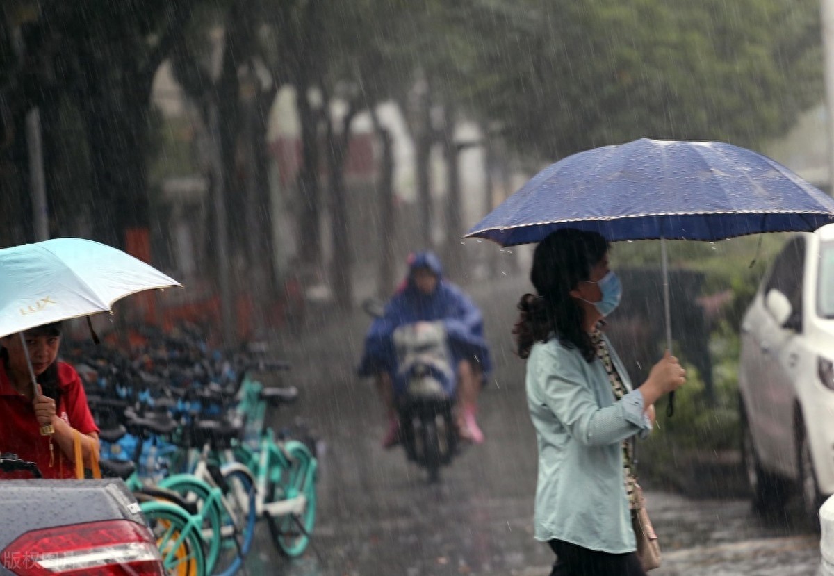 雨中图片大全