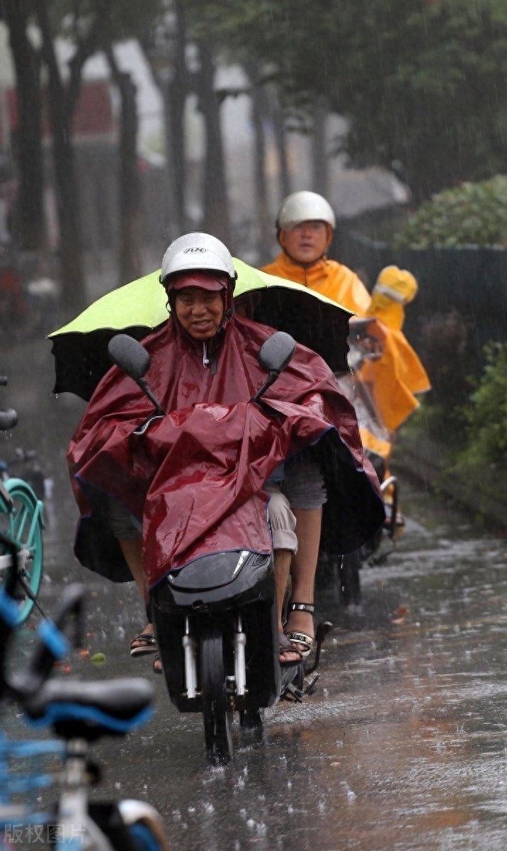 雨中图片大全