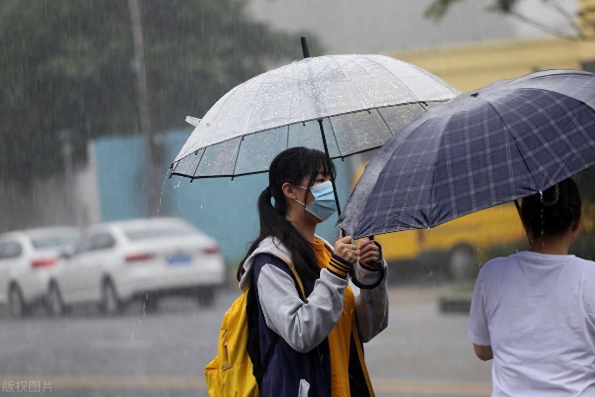 雨中图片大全