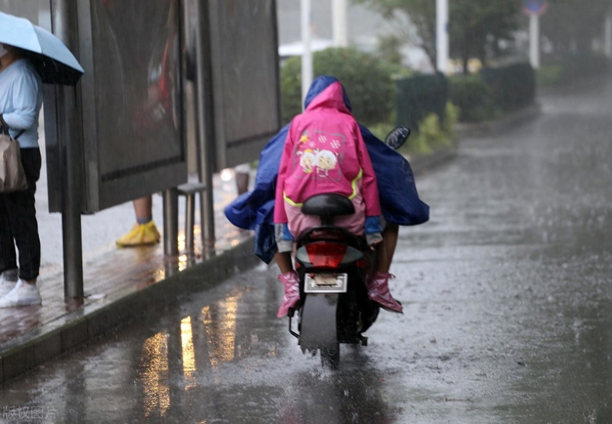 雨中图片大全