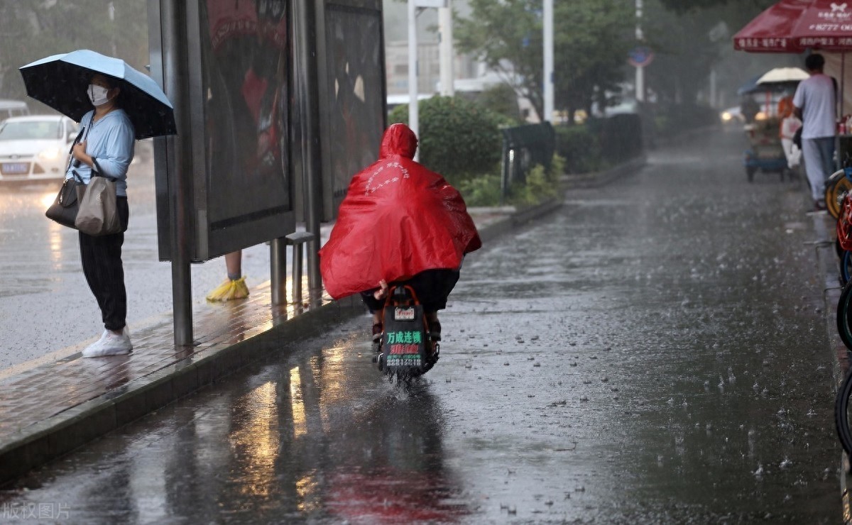 雨中图片大全