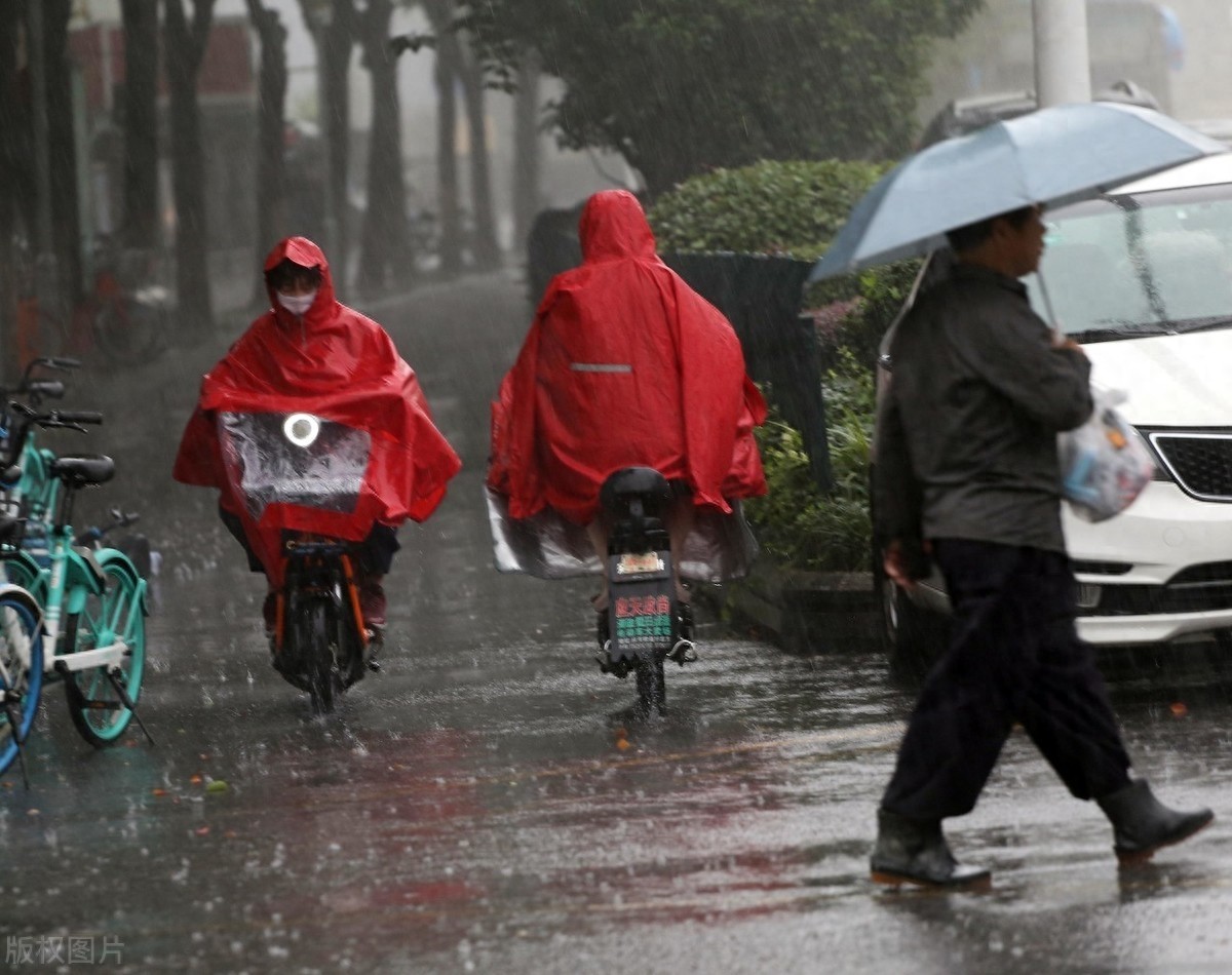 雨中图片大全