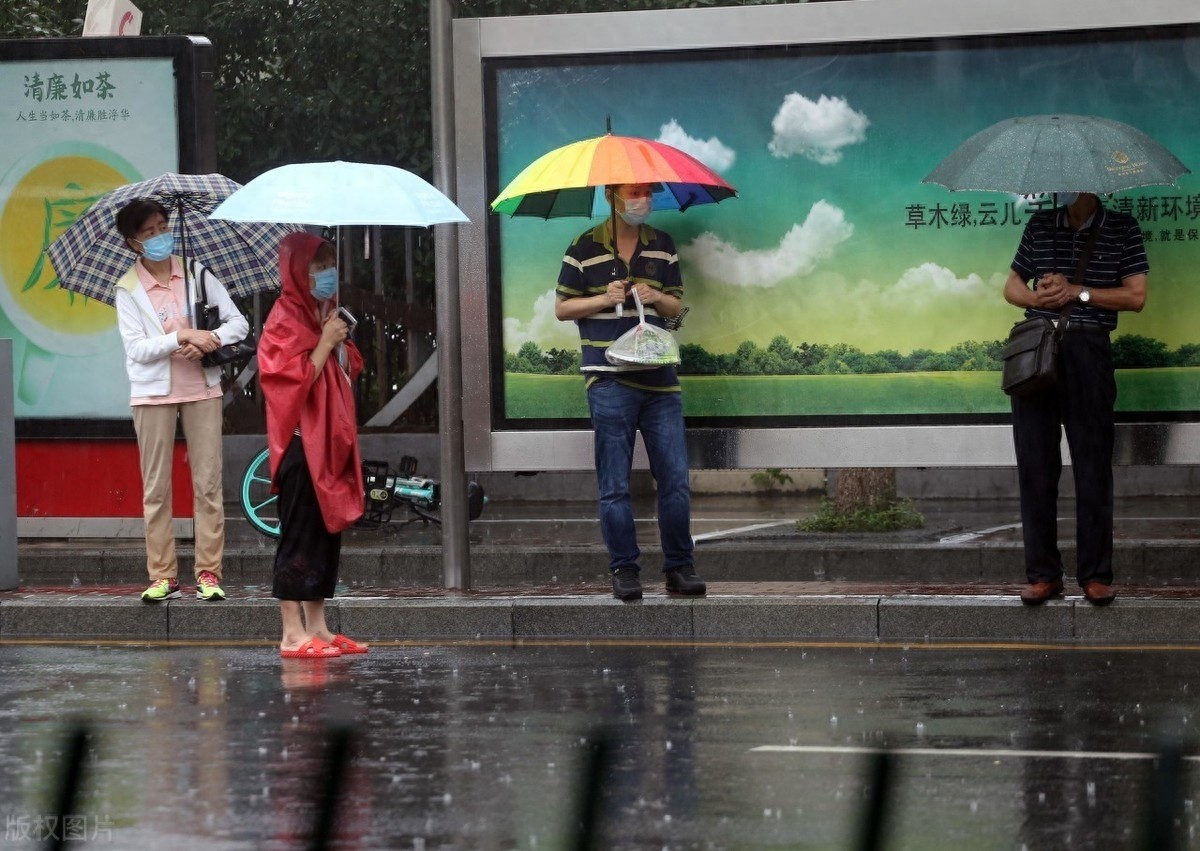 雨中图片大全