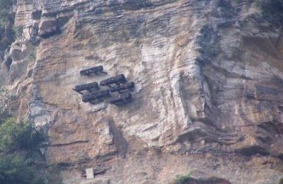 ​探访海南热带雨林国家公园