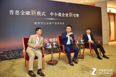 ​背黑锅？借贷宝CEO王璐