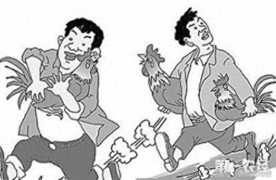 ​半夜鸡叫咋回事？原是