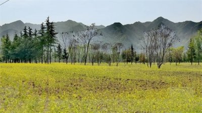 ​《诗经·小雅·南山有台