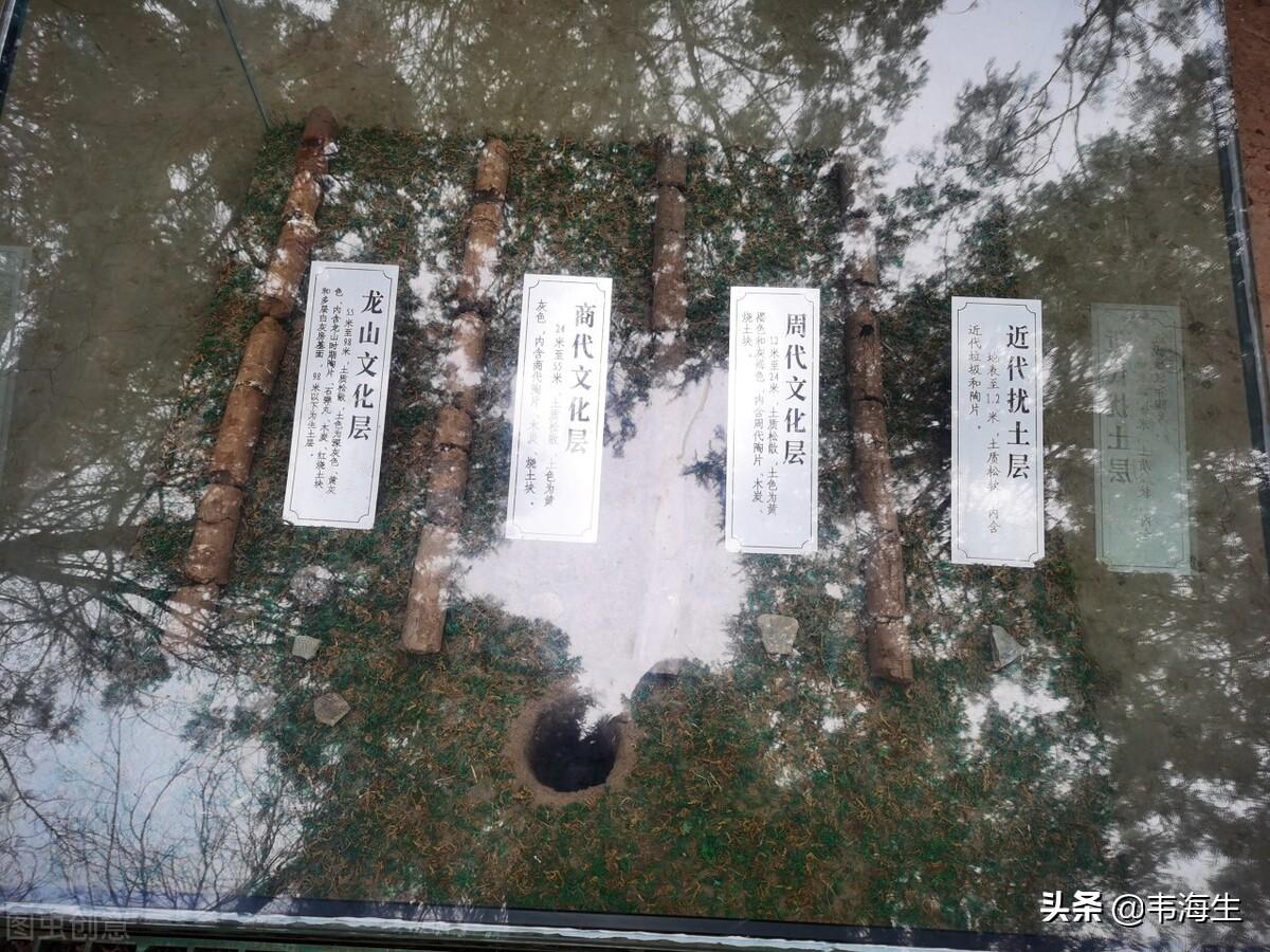 学易经都有些什么好处（学易经的好处和坏处）