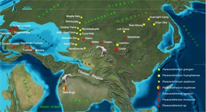 世界上陆地上最大的哺乳动物（最大的哺乳动物）