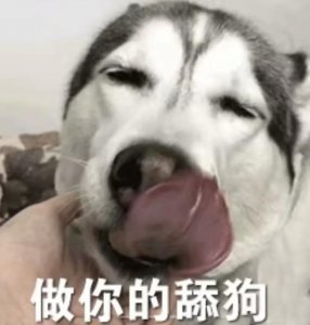 ​令人窒息的舔狗表情包