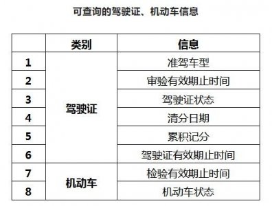 ​即将上线！重庆驾驶证、机动车信息可通过这一平台自助查询