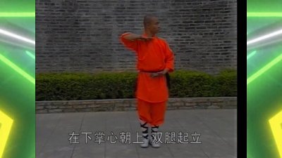 ​少林二路罗汉拳第一段分解示范九【怀中抱月】