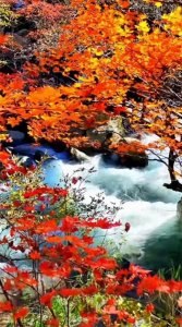 ​《沁园春·中华》（献给2023）