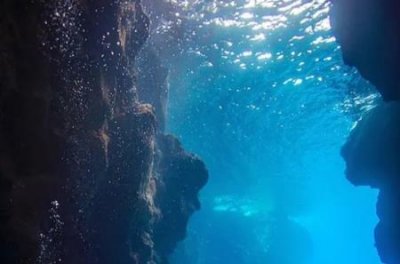 ​最真实的美人鱼 美人鱼真身恐怖吓人 嗜血怪物