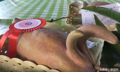 ​泰国清迈有个很牛的芒果获了奖