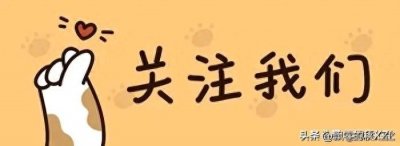 ​盘点：中国境内的十大无毒蛇类