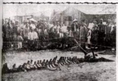 ​历史的迷雾：中国历史上的五大未解的谜团