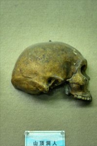 ​三万年前，山顶洞人是怎样生存的？