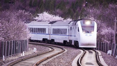 ​12306怎么注册