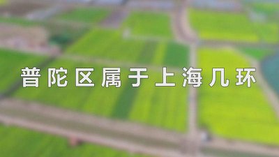 ​上海市普陀区是哪个区 上海普陀区挨着哪个区