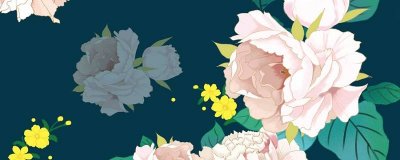 ​中国的国花是什么花 中国官方承认的国花是牡丹吗