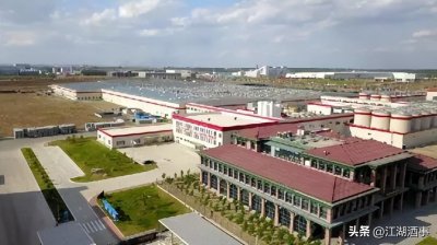 ​哈啤是哪个国家的品牌