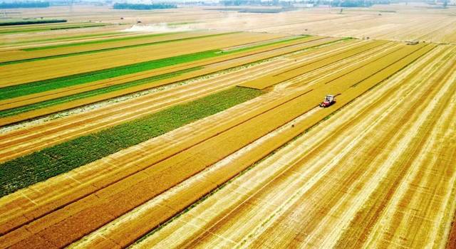 华北平原又叫什么平原(华北平原是冲积平原吗)