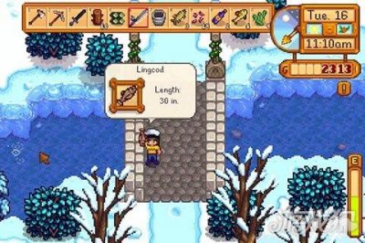 ​星露谷物语怎么钓鱼钓得快（星露谷物语钓鱼技能解析）