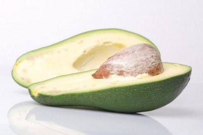 ​牛油果树盆栽会结果吗，几年能结出果？