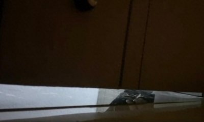 ​女子称与情侣合租遭男