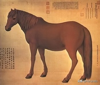 ​“西方之珠”——中华