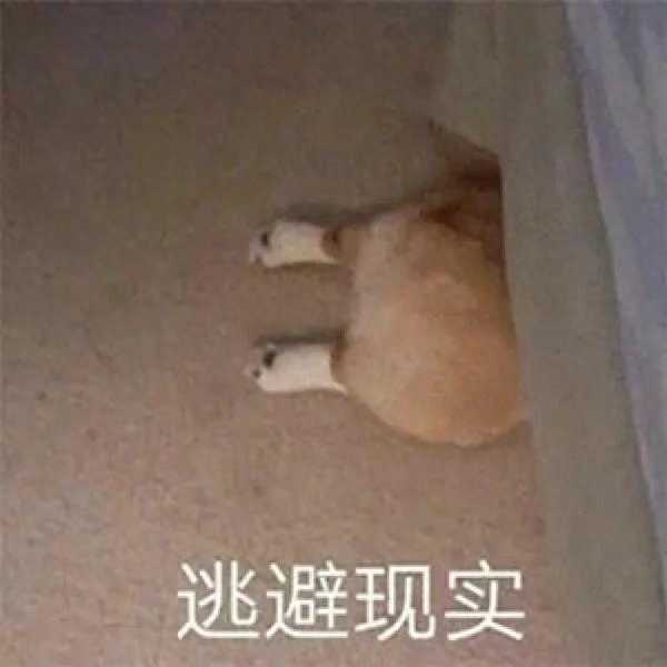 12345是什么电话(12345和12315的区别)