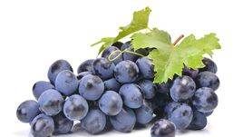 什么食物是蓝色的,蓝色的食物有哪些图9