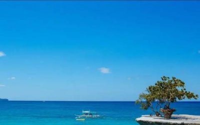 ​论文结语应该怎么写，