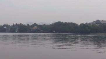 西湖龙井怎么冲泡,西湖龙井的泡法视频图1