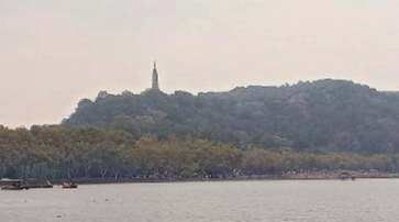 西湖龙井怎么冲泡,西湖龙井的泡法视频图3