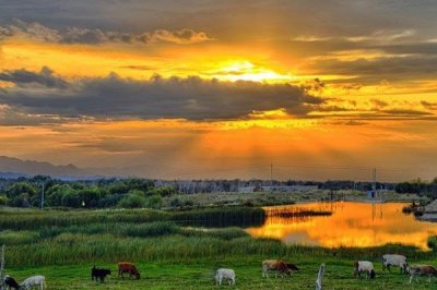 ​蓝蓝的天上白云飘是什