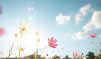 ​毛衣掉毛是质量问题吗