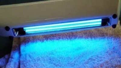 ​螨虫怕不怕紫外线臭氧