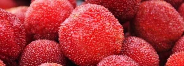 杨梅放冰箱保鲜可以放多久,新鲜杨梅放冰箱冷藏能放几天图2