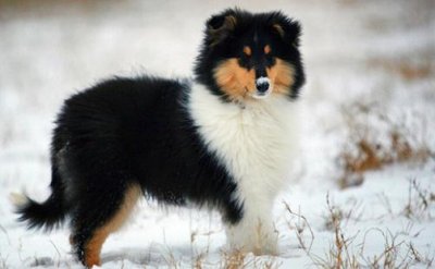 ​实用家居妙招：去除白