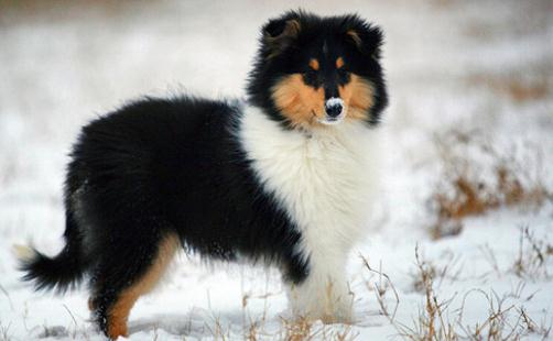 实用家居妙招:去除白色家具的污迹