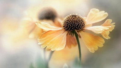 ​英语字母学习入门（零