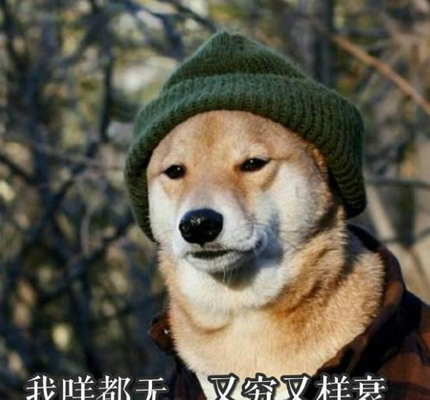 为什么养大狗的女人不能娶（女生养大狗对男朋友有什么坏处）