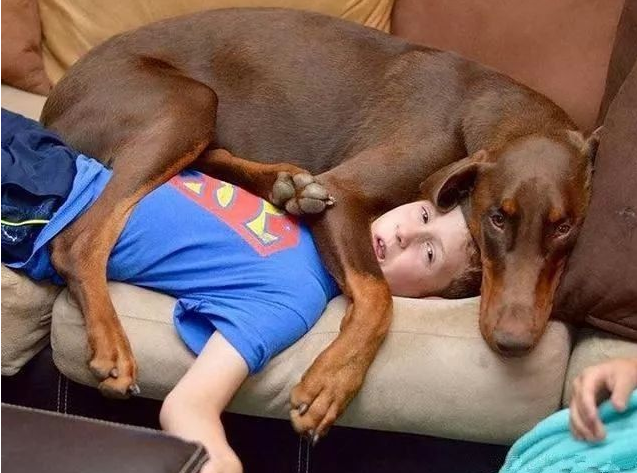 为什么养大狗的女人不能娶（女生养大狗对男朋友有什么坏处）