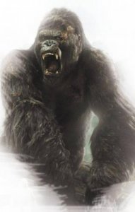 ​惊人发现！广西曾是灭绝物种“金刚”的老家