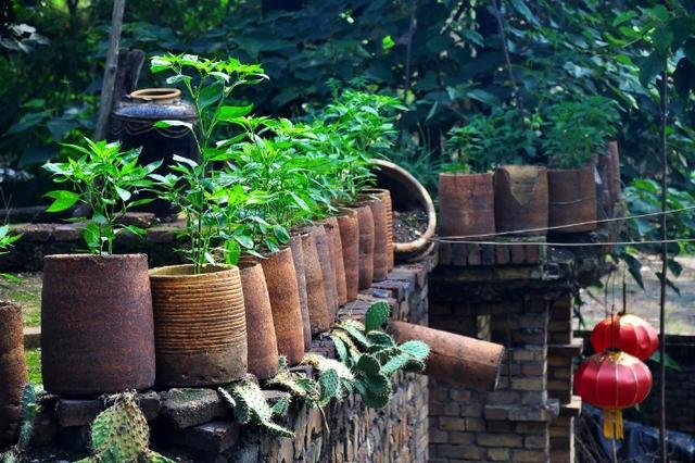 洛阳新安县旅游景点大全（河南洛阳新安县）(7)