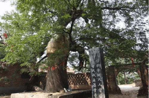 南乐县属于哪个市(河南南乐县属于哪个市)